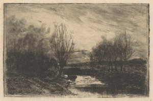Fossé avec des saules têtards