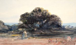 Paysage : Pin et petite tourelle - Barbara Leigh Smith Bodichon