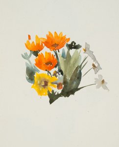 Fleurs oranges - Barbara Leigh Smith Bodichon