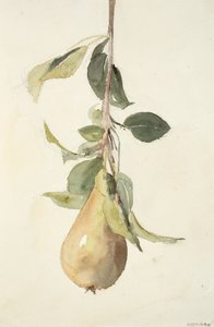 Poire