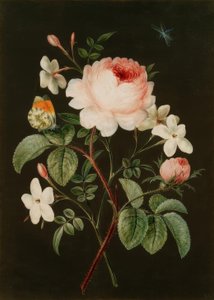 Arrangement de roses et de jasmin
