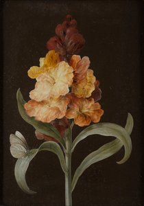 Ensemble de quatre natures mortes avec des papillons
