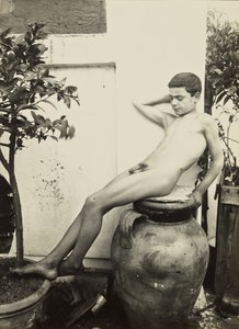 [Jeune fille nue dans un jardin] - Baron Wilhelm von Gloeden