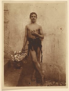 [Jeunesse avec des lilas] - Baron Wilhelm von Gloeden