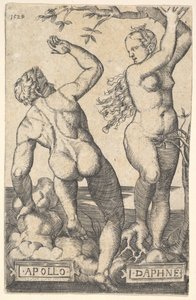 Apollon et Daphné, copie inversée