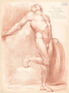Nu masculin debout, vu de face