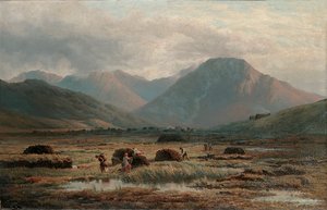 Tourbière, Letterfrack, Connemara