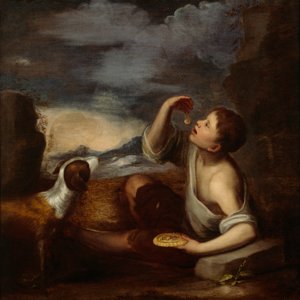 Un garçon espagnol et un chien