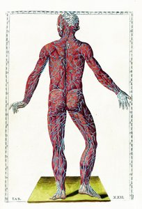 Tabulae anatomicae - Bartolomeo Eustachi