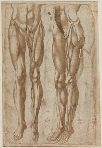 Deux études d