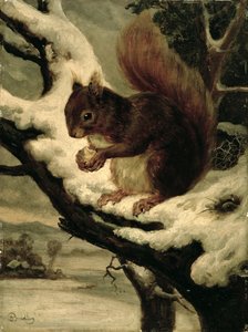Un écureuil rouge mangeant une noix - Basil Bradley