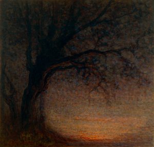 Arbre mort - Battista Constantini