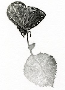 Suspense - Bella Larsson