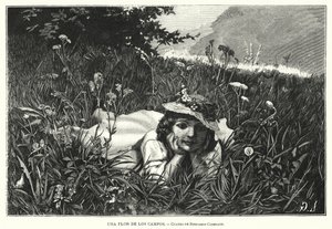 Une fleur des champs - Benjamin  Constant