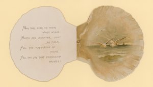 Illustration pour un livret intitulé Coquillages de mer