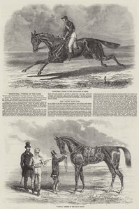 Chevaux de Course Gagnants