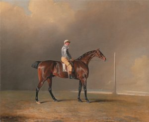 Diamond, avec Dennis Fitzpatrick Up - Benjamin Marshall