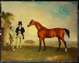 "Skiff", un cheval de course bai tenu par un palefrenier à Newmarket Heath, avec John Howe, le propriétaire des écuries, à ses côtés