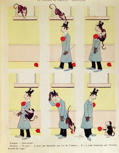 La théorie de Darwin à l