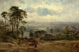 Champs de maïs, Wollaton Hall, Nottingham, 19ème siècle