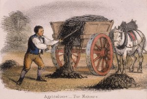 Agriculture, pour le fumier