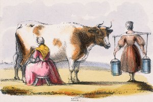 Lait