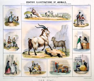 La Chèvre, vers 1850