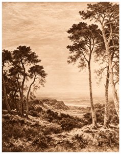 Coucher de soleil après la pluie, 1903 - Benjamin Williams Leader