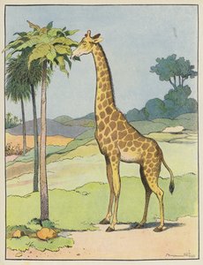 Girafe