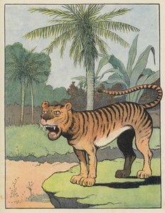 Tigre - Benjamin Rabier