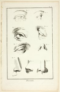 Design : Anatomie faciale de l
