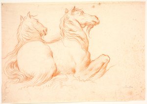 Deux hippocampes