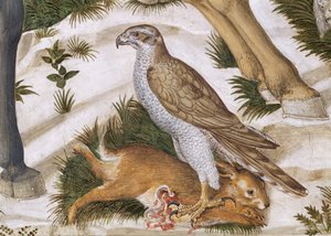 Faucon avec un lapin capturé (détail du cycle du Voyage des Mages dans la chapelle)