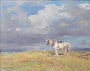 Cheval blanc, vers 1910