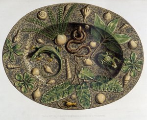 Plat à reptiles - Plat céramique, dans « L