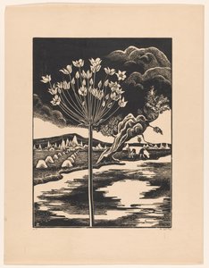 Fleur de cygne dans un paysage