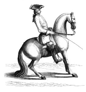 Baron d