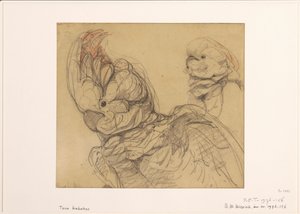 Deux cacatoès, à mi-corps - Bernard Willem Wierink