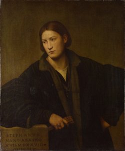 Portrait de Stefano Nani, 1528