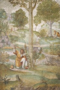 Céphale cachant les bijoux - Bernardino Luini