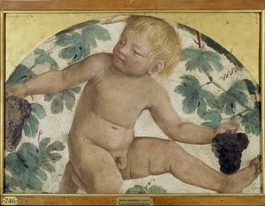 Putti récoltant - Putto sous une pergola, c.1514 (détaché et monté sur panneau)