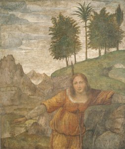 Procris percée par le javelot de Céphale, vers 1520-1522