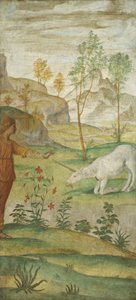 Procris et la licorne - Bernardino Luini