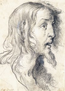 La tête du Christ de profil vers la droite - Bernardo Strozzi