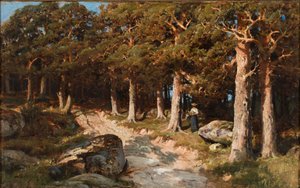 Femme dans les bois