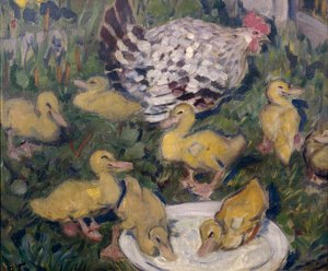 Poule avec canetons