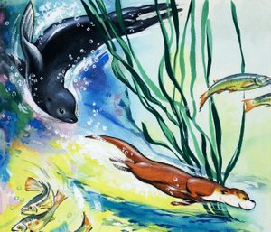 Fliptail la loutre ;