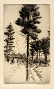Cabin in Wilderness