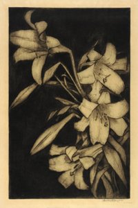 Pâques, ou Madone, Lys - Bertha E. Jaques