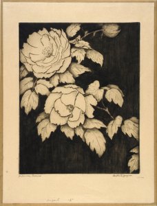 Pivoines japonaises